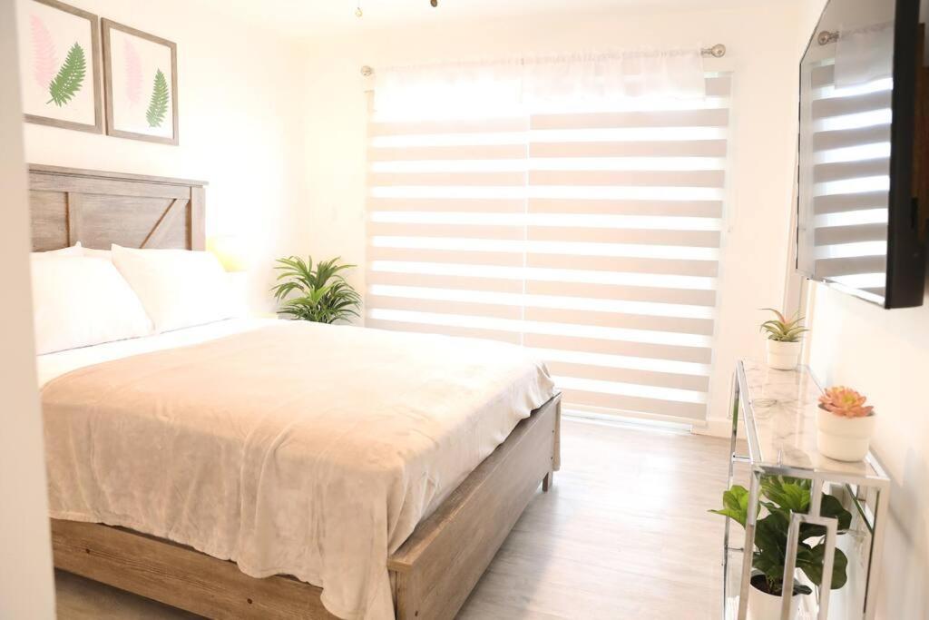 Insta Worthy Modern Bungalow Homestead Esterno foto